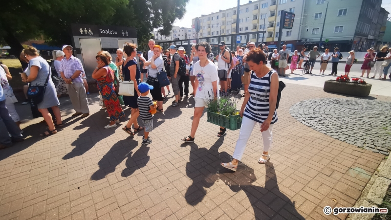 6/21 Sadzonki roślin miododajnych rozchwytywane przez gorzowian