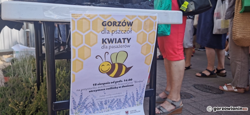 7/21 Sadzonki roślin miododajnych rozchwytywane przez gorzowian