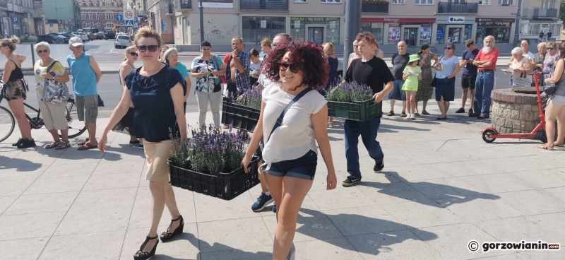 10/21 Sadzonki roślin miododajnych rozchwytywane przez gorzowian