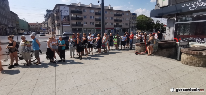 11/21 Sadzonki roślin miododajnych rozchwytywane przez gorzowian