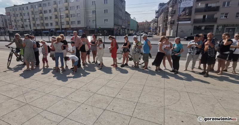 12/21 Sadzonki roślin miododajnych rozchwytywane przez gorzowian