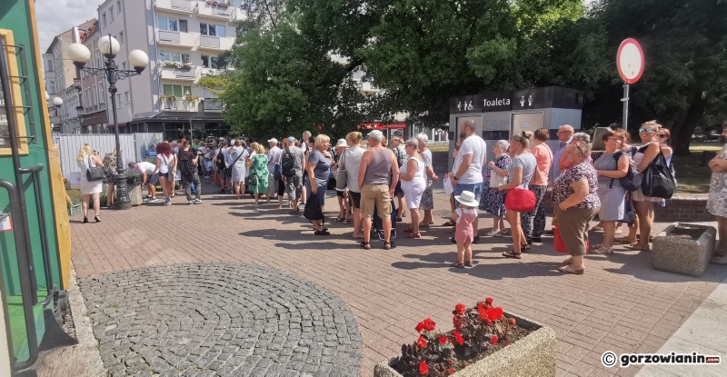 13/21 Sadzonki roślin miododajnych rozchwytywane przez gorzowian
