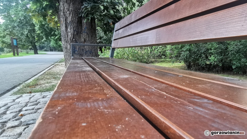 4/7 Wyczyszczone ławki w Parku Róż