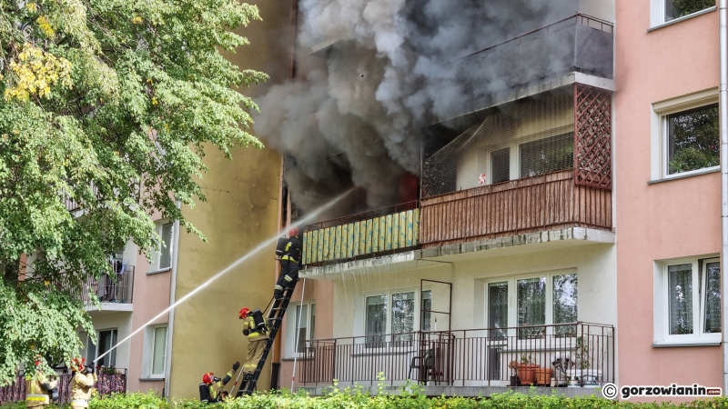 1/10 Pożar mieszkania przy ul. Wróblewskiego