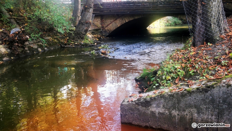 6/8 Brązowa woda w rzece Kłodawce