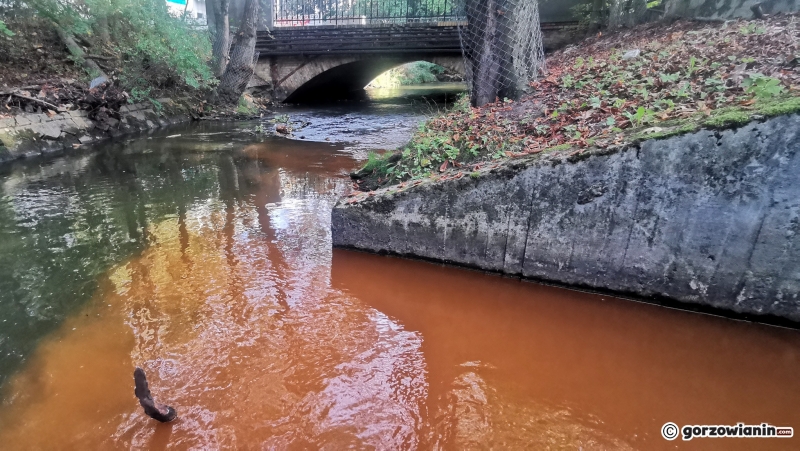 7/8 Brązowa woda w rzece Kłodawce