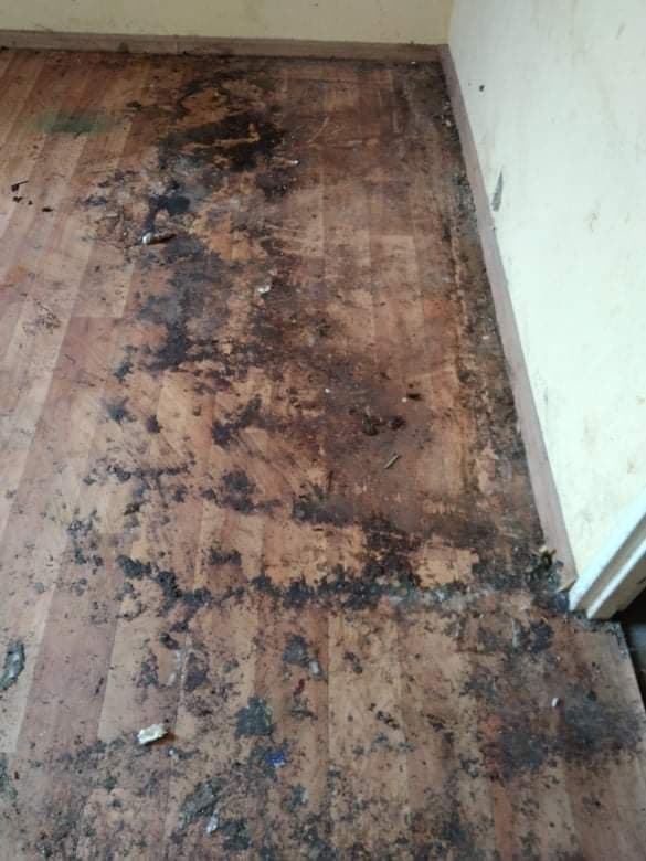 4/6 Tak mieszkał pana Radosław w Metalowcu