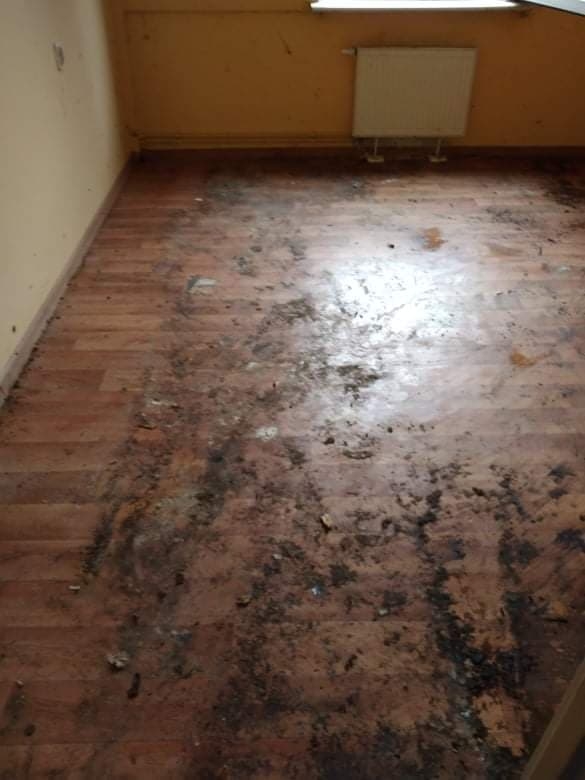 6/6 Tak mieszkał pana Radosław w Metalowcu