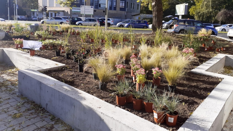 3/4 Park kieszonkowy w centrum Gorzowa