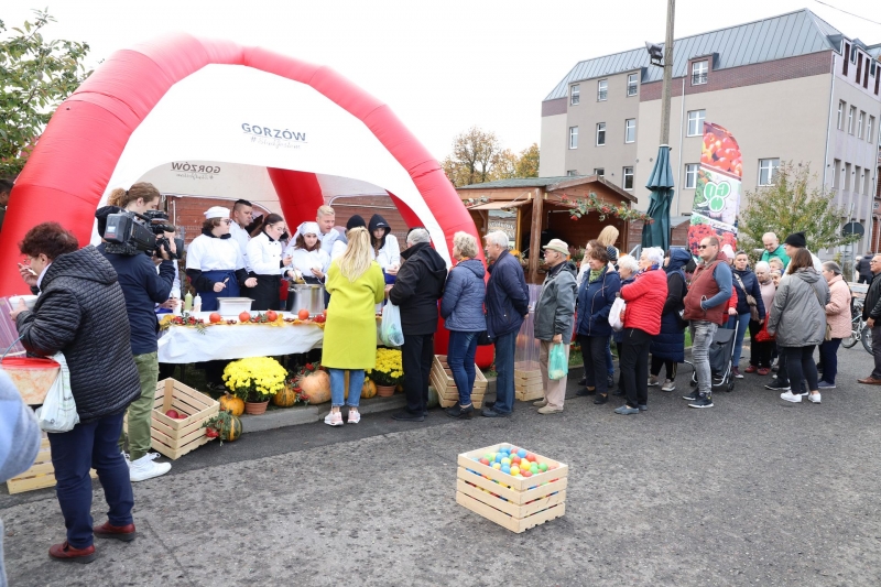 7/18 Festiwal Dyni i Chryzantemy w Gorzowie