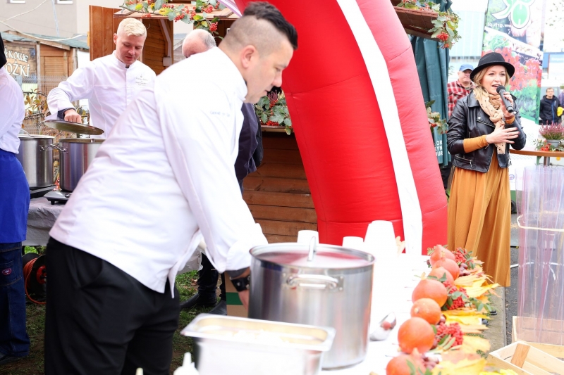 15/18 Festiwal Dyni i Chryzantemy w Gorzowie