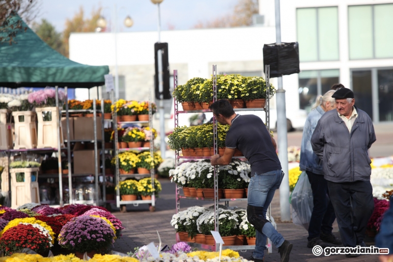 20/24 Tłum mieszkańców ruszył na cmentarz w Gorzowie