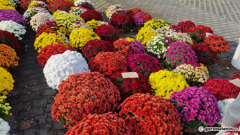 3/19 Stoiska z kwiatami przy cmentarzu w Gorzowie