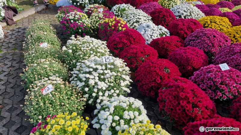 6/19 Stoiska z kwiatami przy cmentarzu w Gorzowie