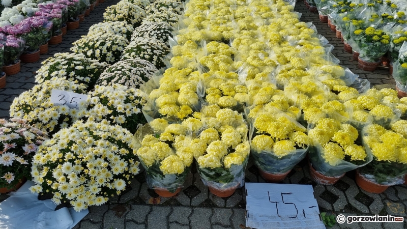 8/19 Stoiska z kwiatami przy cmentarzu w Gorzowie