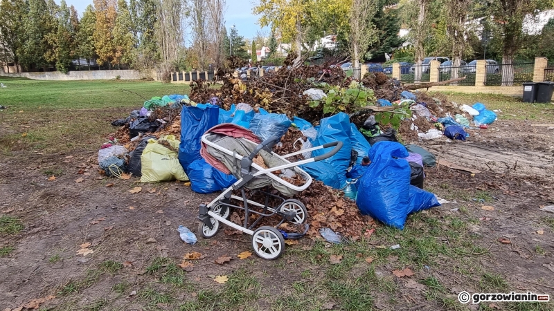 1/21 Hałdy śmieci zalegają na cmentarzu Świętokrzyskim