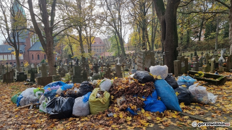 14/21 Hałdy śmieci zalegają na cmentarzu Świętokrzyskim