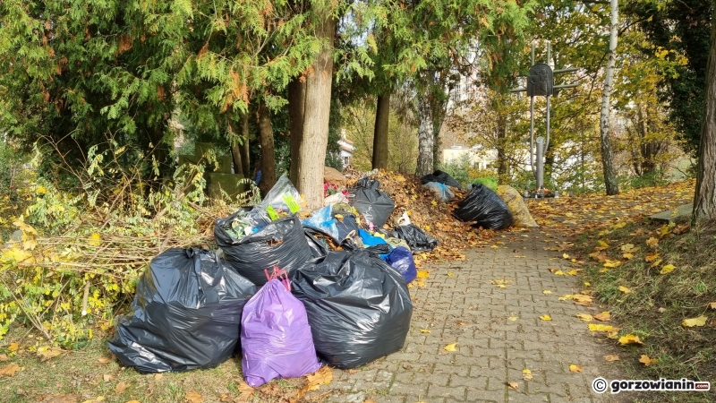 15/21 Hałdy śmieci zalegają na cmentarzu Świętokrzyskim