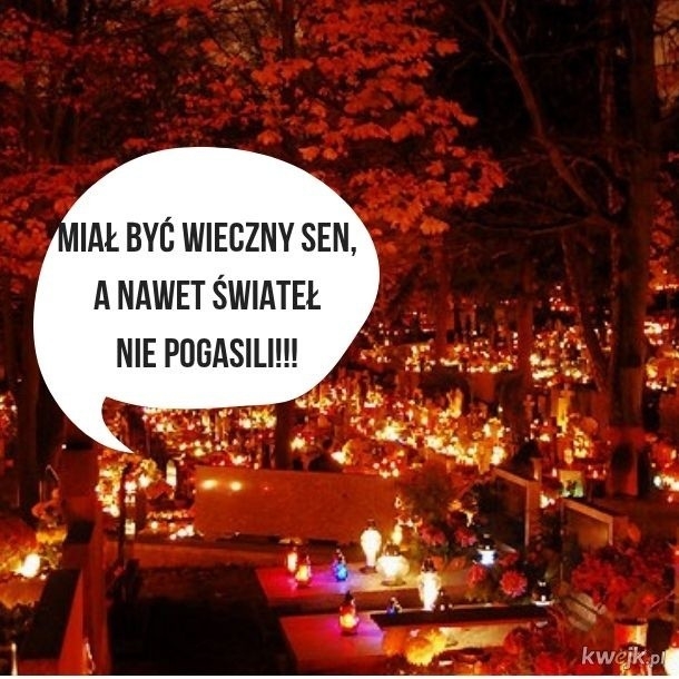 3/8 Memy o 1 listopada, czyli Wszystkich Świętych z przymrużeniem oka