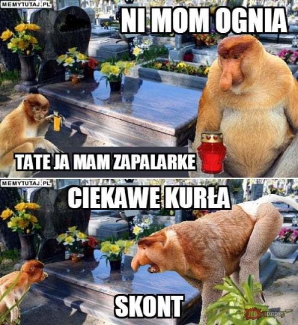 6/8 Memy o 1 listopada, czyli Wszystkich Świętych z przymrużeniem oka