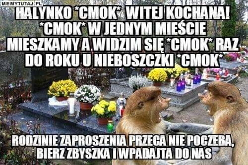 7/8 Memy o 1 listopada, czyli Wszystkich Świętych z przymrużeniem oka