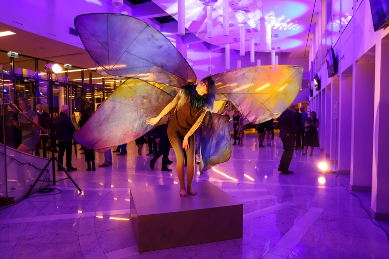 6/6 Motyle w Gorzowie rozdane