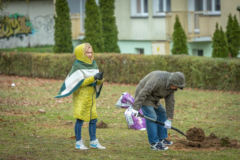 5/14 Seniorzy z Gorzowa posadzili 15 dębów szypułkowych