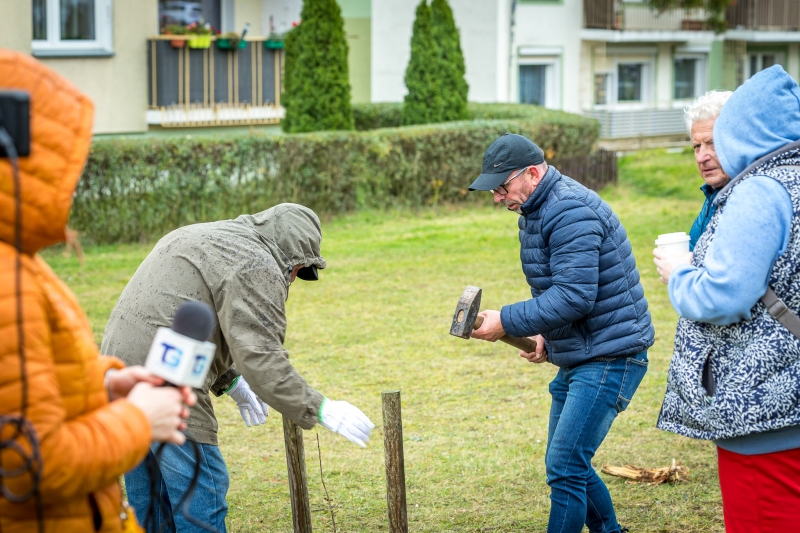10/14 Seniorzy z Gorzowa posadzili 15 dębów szypułkowych