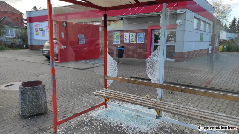 3/3 Zniszczona wiata przystankowa przy ul. Kobylogórskiej