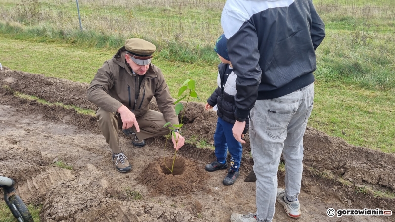 2/16 Akcja sadzenia drzew na polu golfowym