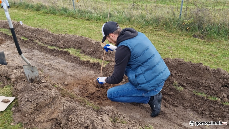 3/16 Akcja sadzenia drzew na polu golfowym
