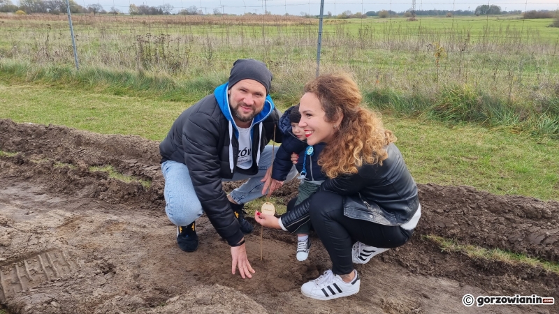 5/16 Akcja sadzenia drzew na polu golfowym