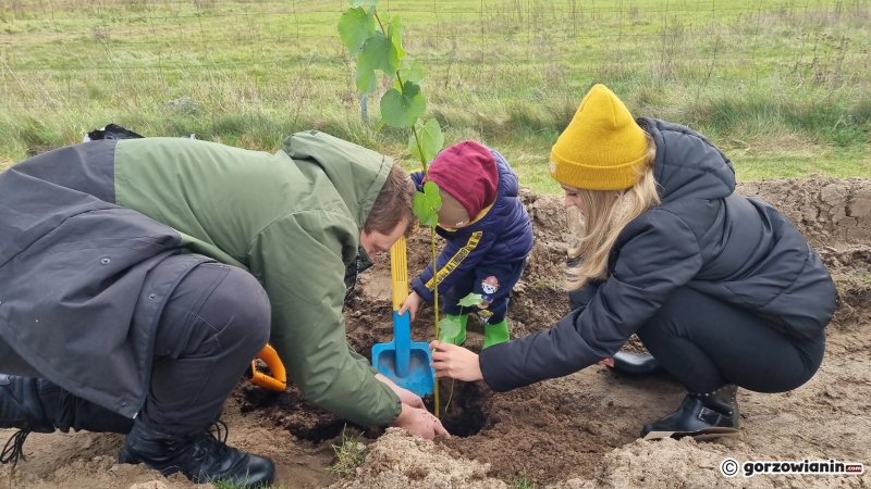 7/16 Akcja sadzenia drzew na polu golfowym