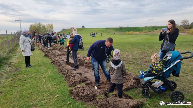 8/16 Akcja sadzenia drzew na polu golfowym