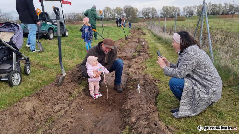 12/16 Akcja sadzenia drzew na polu golfowym