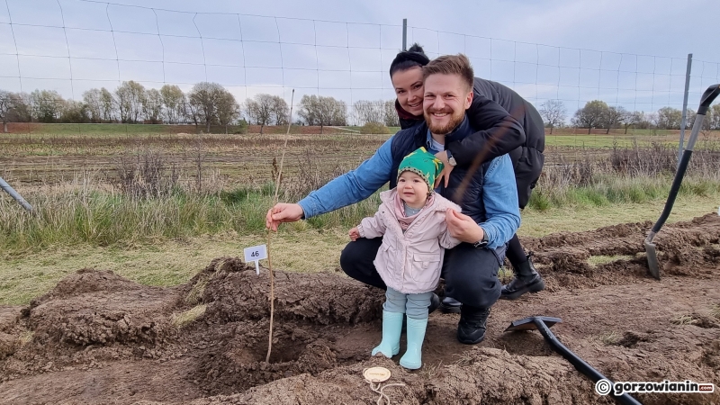 15/16 Akcja sadzenia drzew na polu golfowym