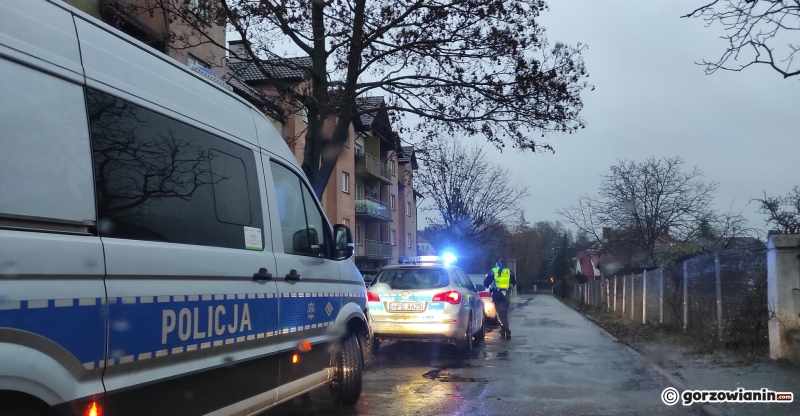 5/5 Kierowca skody potrącił 16-latkę na pasach