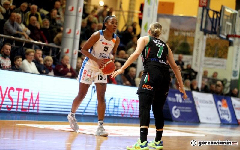 12/43 PolskaStrefaInwestycji Enea Gorzów - MB Zagłębie Sosnowiec