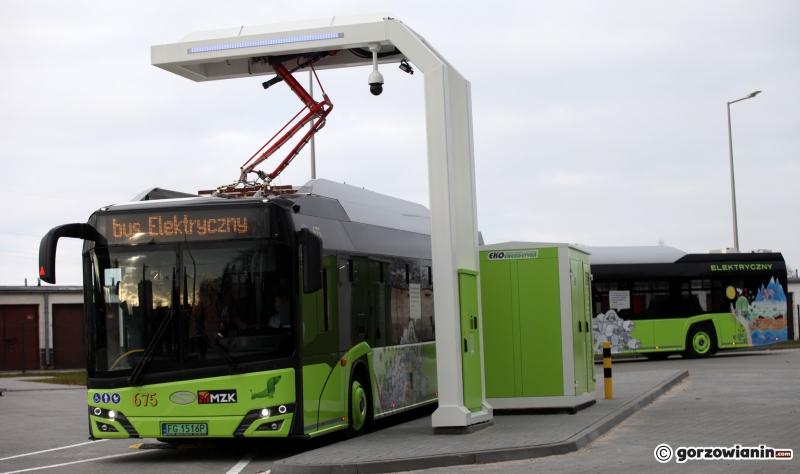 9/10 Autobusy elektryczne wyjechały na ulice Gorzowa