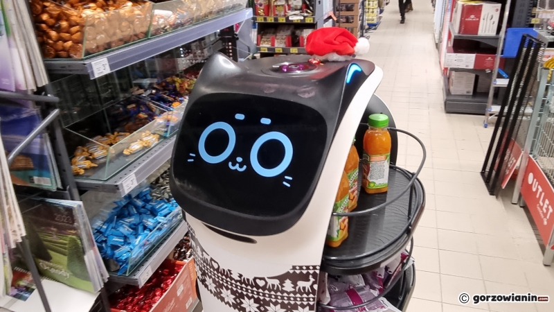 8/12 Kerfuś w supermarkecie Carrefour w Gorzowie