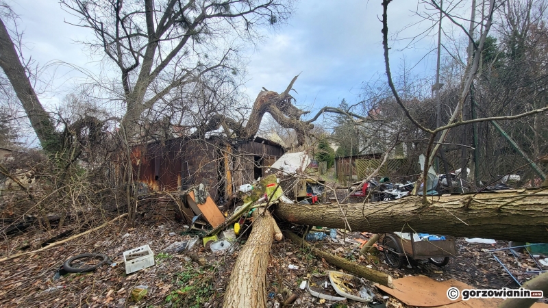 22/24 Prowizoryczny kontener, w którym mieszkają bezdomni