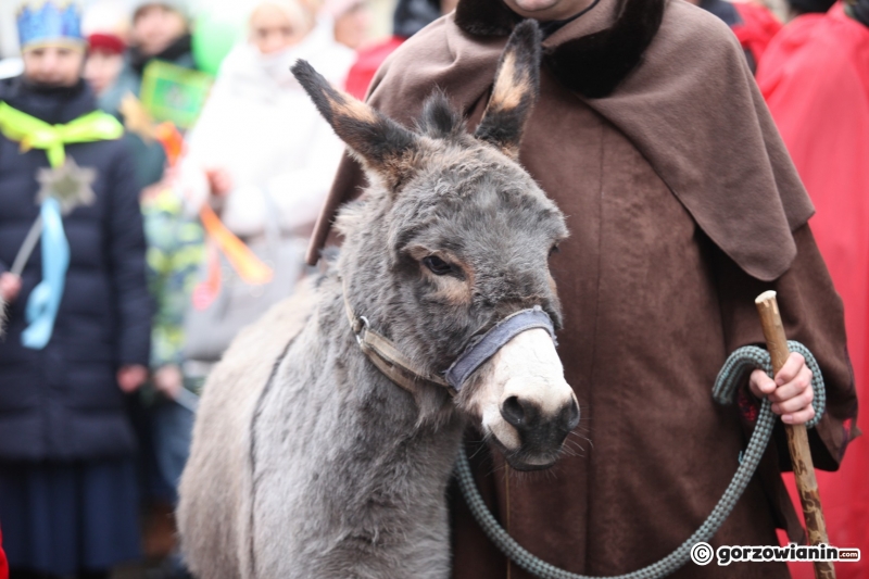 5/21 Orszak Trzech Króli w Gorzowie 2023