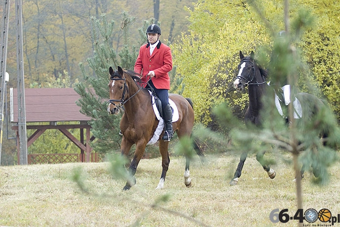 10/46 Zdroisko: Hubertus