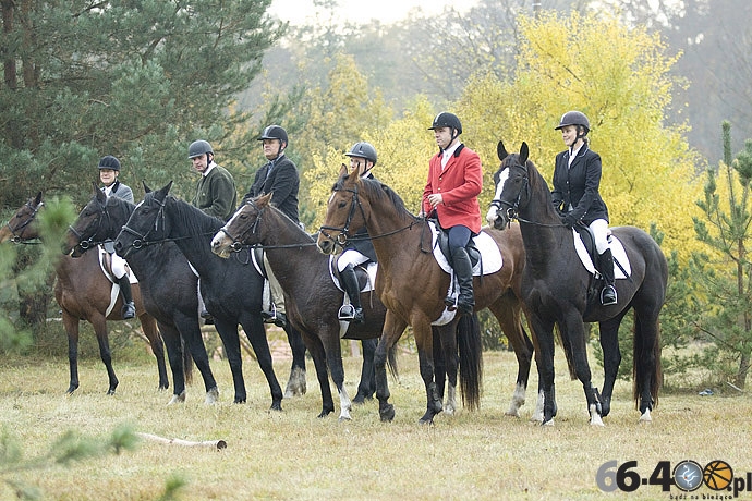 14/46 Zdroisko: Hubertus