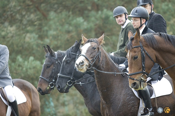 16/46 Zdroisko: Hubertus