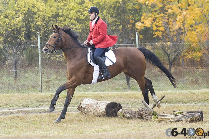 18/46 Zdroisko: Hubertus