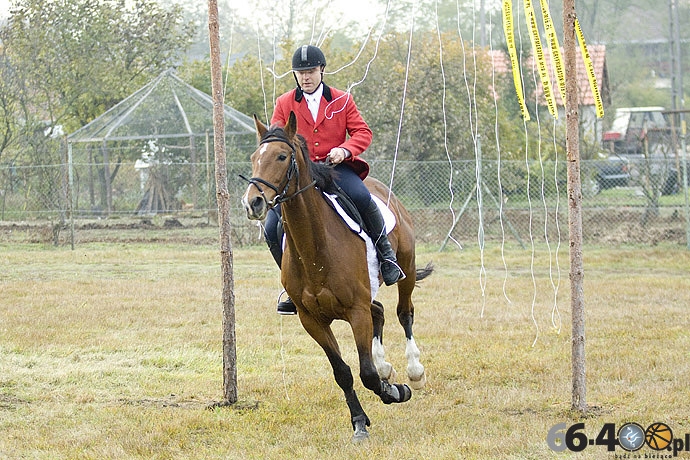 19/46 Zdroisko: Hubertus
