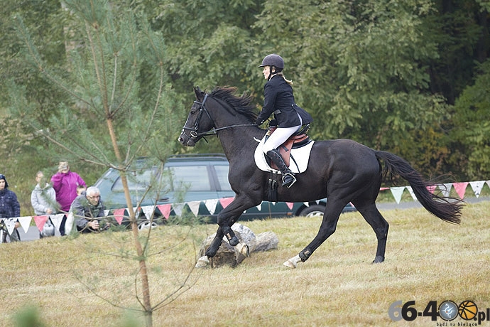 20/46 Zdroisko: Hubertus