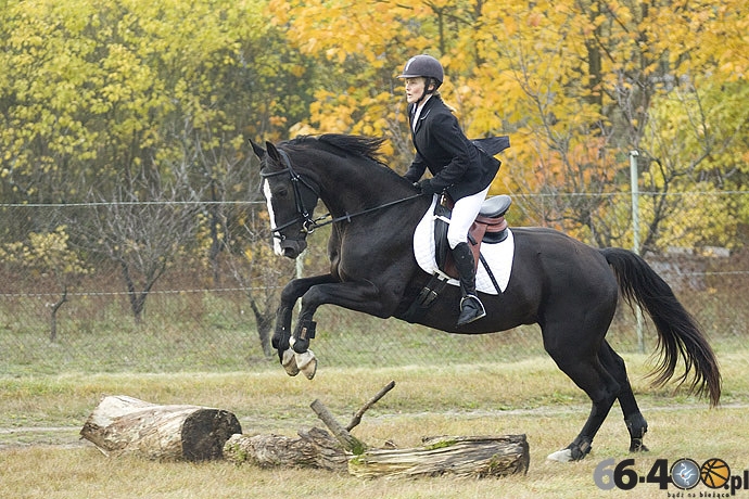 21/46 Zdroisko: Hubertus