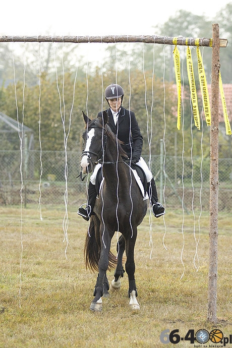 22/46 Zdroisko: Hubertus